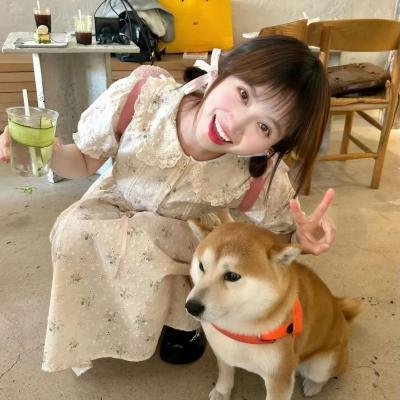小袋鼠历险记
